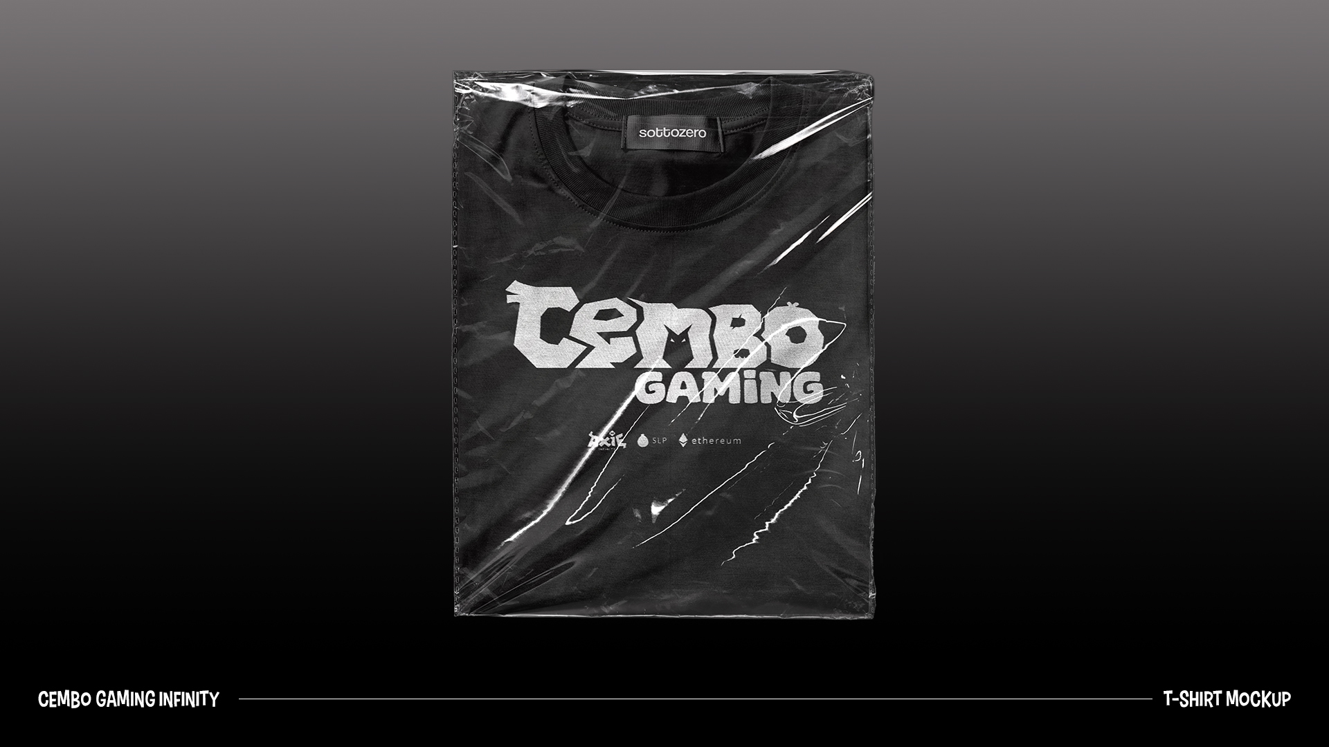 Cembo Gaming project image 5