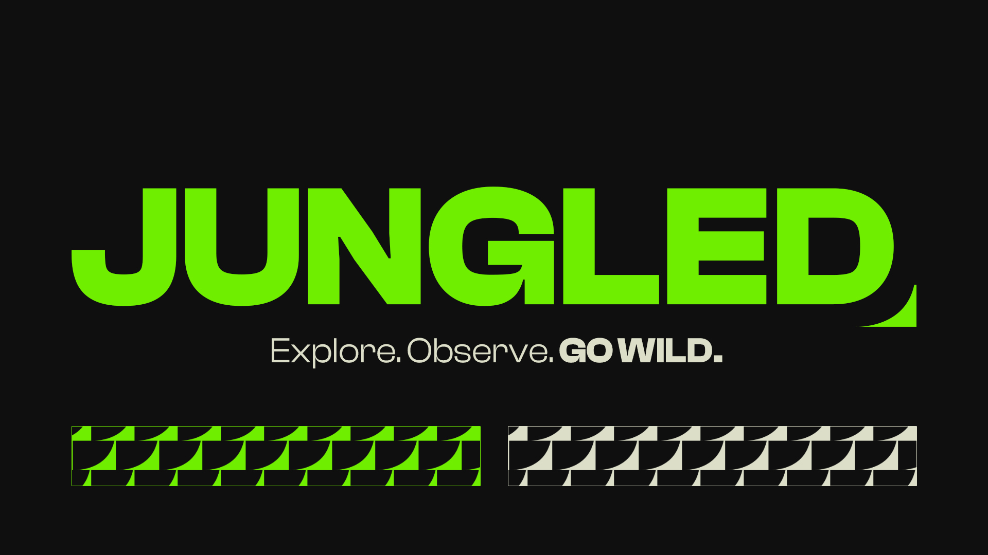 JUNGLED project image 1